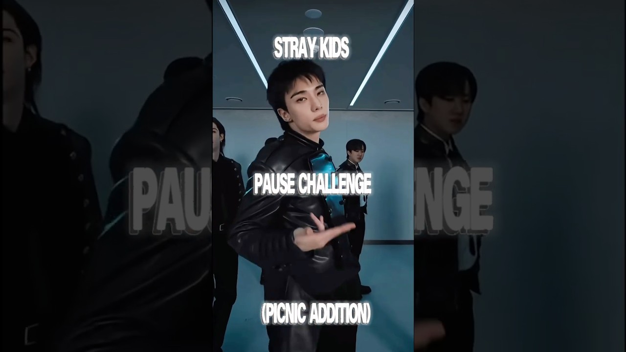 Stray kids pause challenge (Picnic addition) #straykids #bored #pausechallange #kpop
