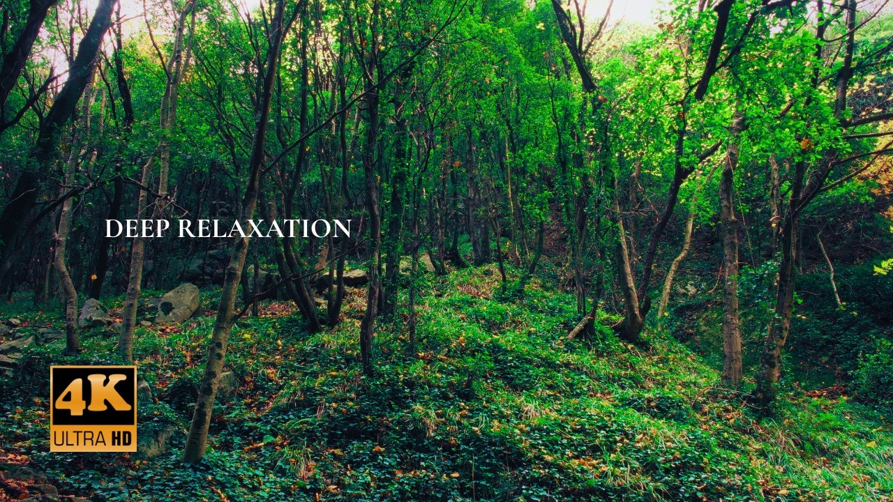 4K 🌿 Stillness at Marmarico Falls | Deep Focus Waterfall Ambience | 28 MIN Nature Sanctuary