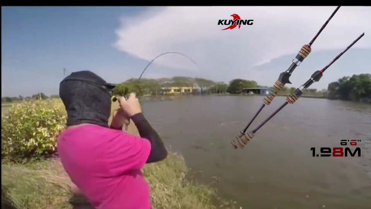 joran pancing terbaik 2020, tes kekuatan joran kuying dikelas light 3-8lb