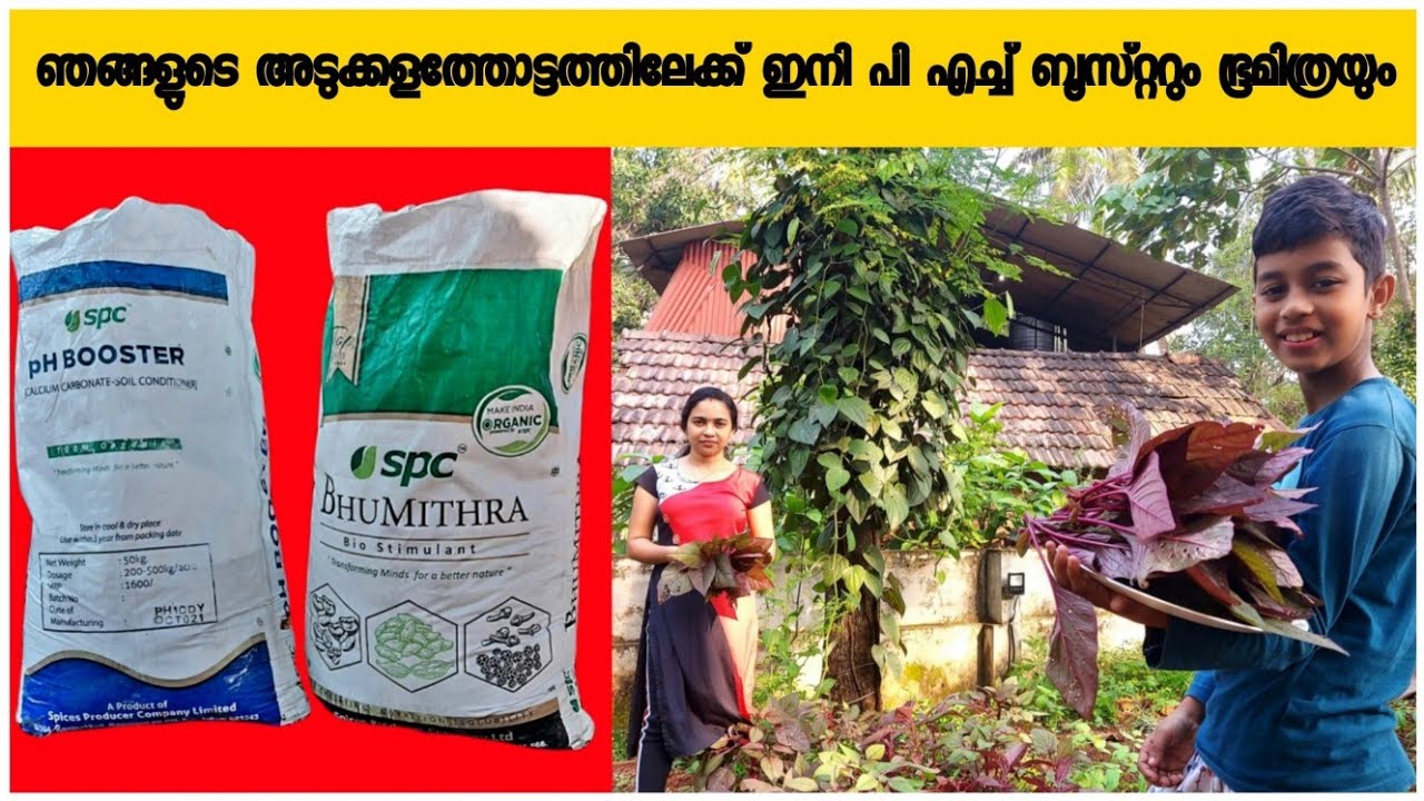 SPC organic manure //അടുക്കളത്തോട്ടത്തിലേക്ക് വളമായി പുതിയ അതിഥി //AJU'S WORLD