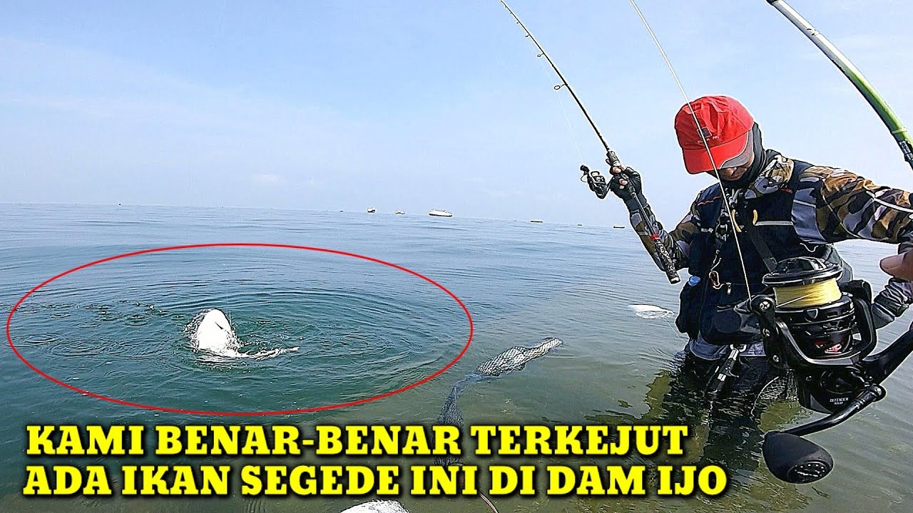 Kami Berdua Sangat Beruntung, Panen Ikan Segede Ini Di Dam Ijo Semarang