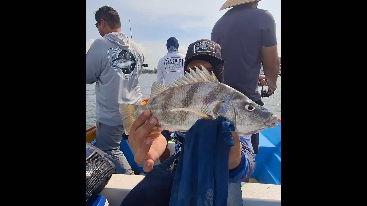 “Jornada de pesca en Mazatlán: emoción, peces y aventura”