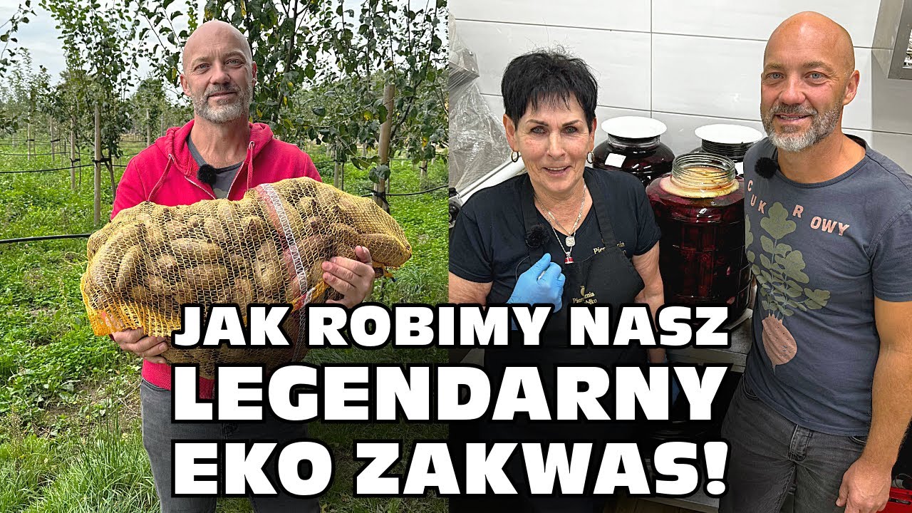 Jak robimy nasz legendarny eko zakwas z Poddębic - Pierogarnia Złote Jabłko - Marcel Chodakowski