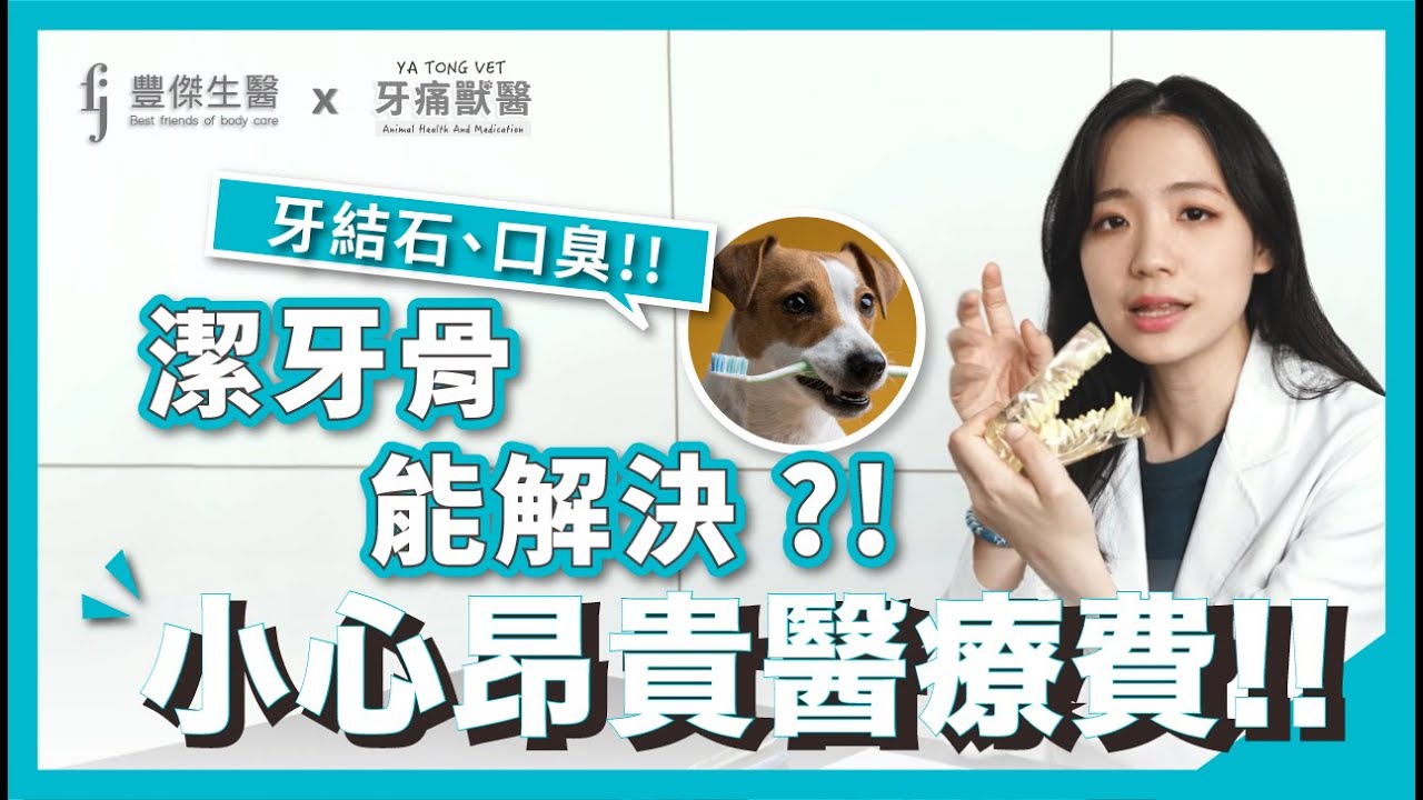 寵物 牙結石 口臭 !! 只用潔牙骨能解決嗎 !? 小心昂貴的醫療費!!