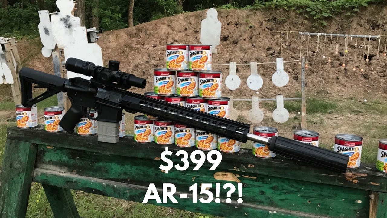 PA-15 (PSA AR-15) - 18&rdquo; .223 Wylde Budget Rifle - Worth It?