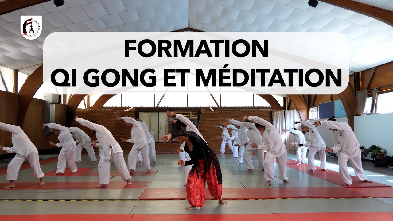 Qi Gong 5 animaux avec Me KE Wen et les élèves de formation Qi Gong et méditation des Temps du Corps