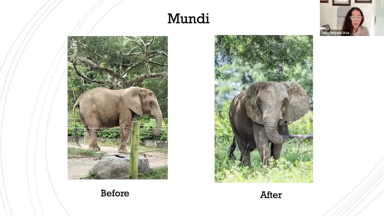 Legal Moves That Closed Puerto Rico&rsquo;s Zoo
