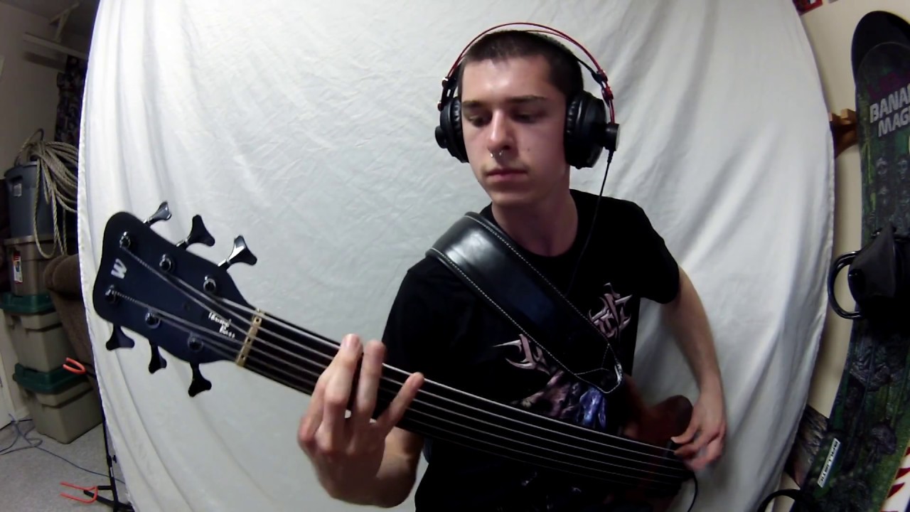Archspire - Rapid Elemental Dissolve [Fretless Bass Cover]