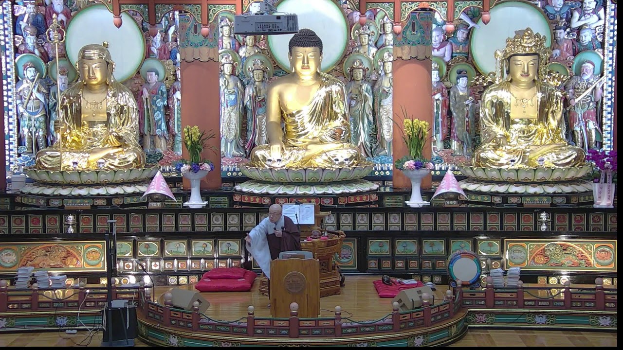 2026년 02월 22일 일요법회 -  자비심은 산자들에게만 해당되는 것이 아니다 떠나간 영혼들도 우리들의 자비심의 대상이다 우리는 현실세계의 복덕만을 생각하면 산다