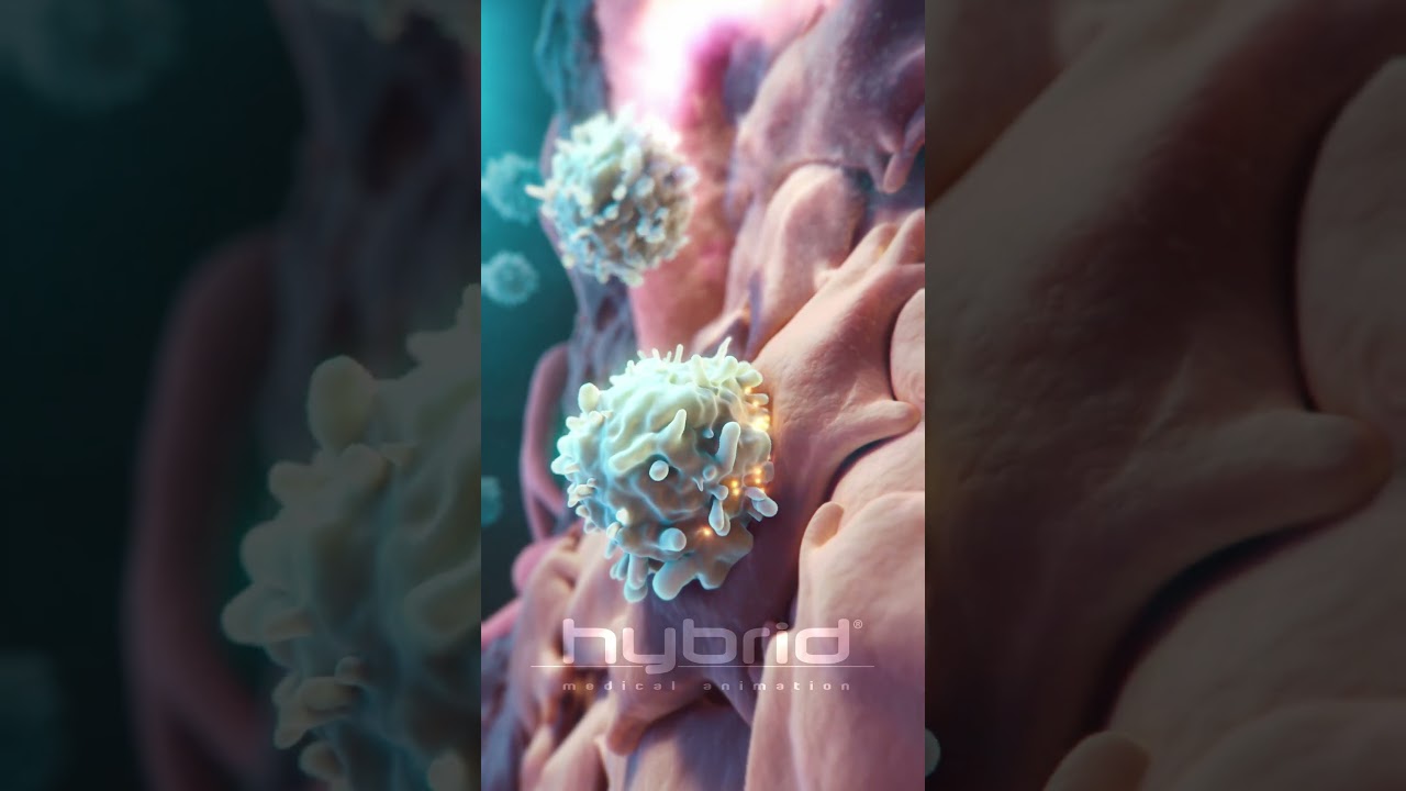 Cytotoxic T cells animation | killer T cells | cancer medical animation | #medicalanimation