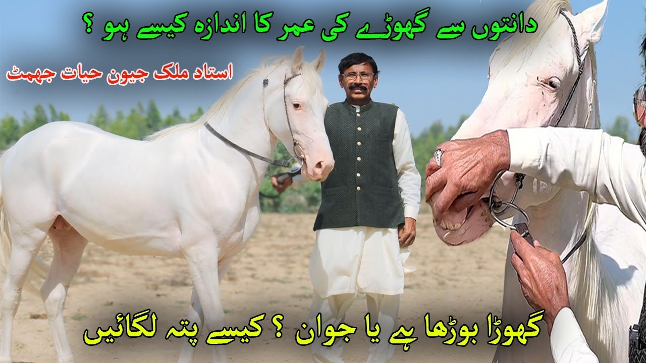 Ghory ki Umar kese pata lagain, Ustad Jeevan Hayat Jhammat
