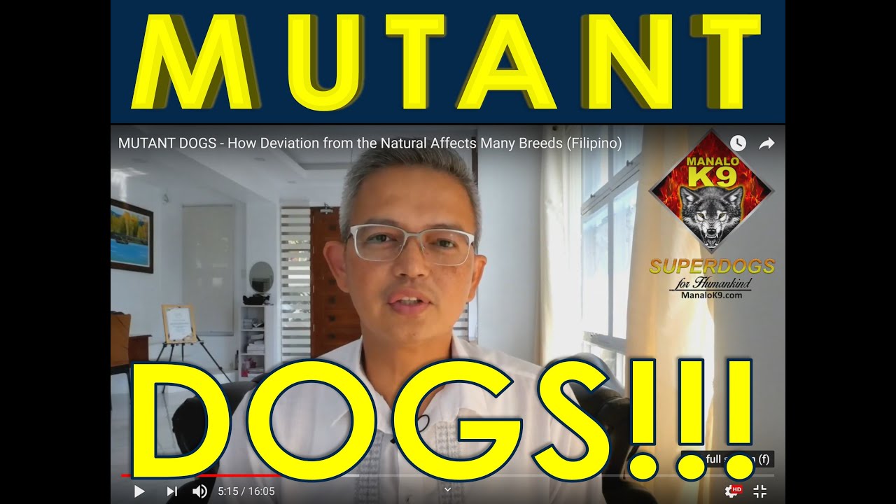MUTANT DOGS - PUREBRED DOG BREED ABNORMALITIES  (Filipino)