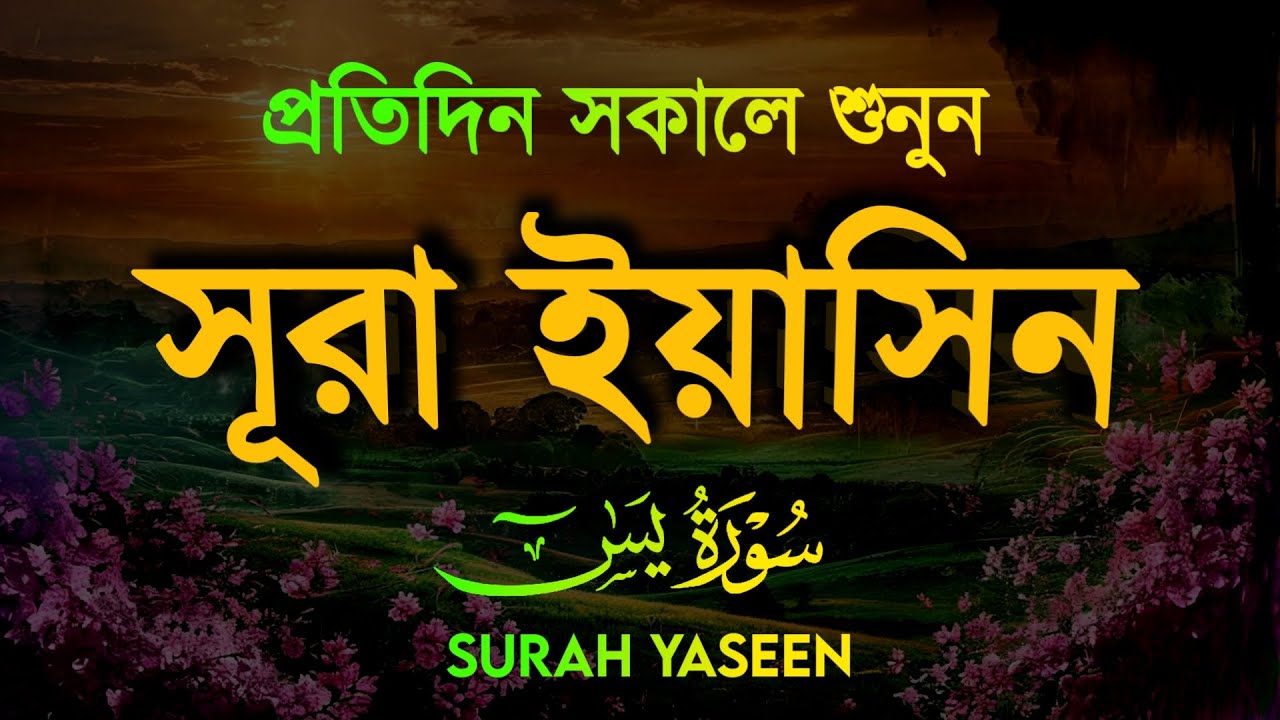 (প্রতিদিন সকালে শুনুন) আবেগময় কন্ঠে সূরা ইয়াসিন | Quran Tilawat | Surah Yaseen by Tareq Muhammad