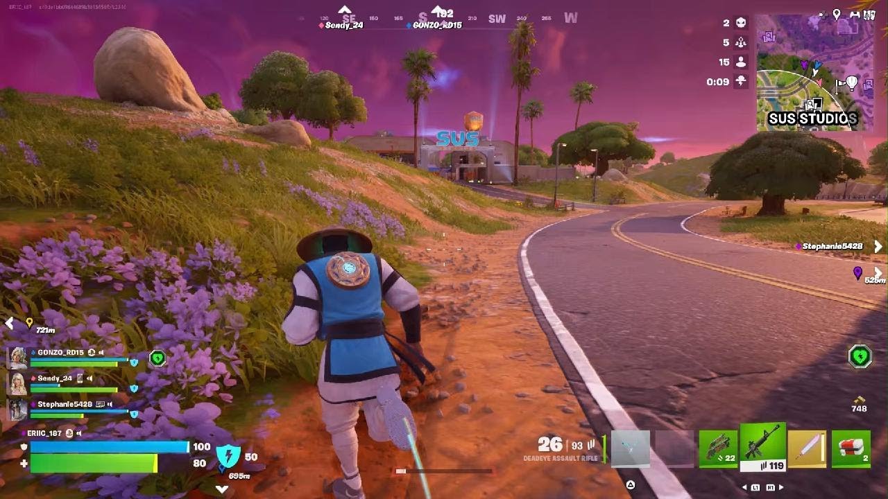 Fortnite Win 17