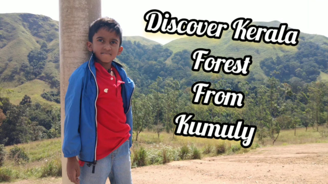 Discover Kerala Forest from Kumuly