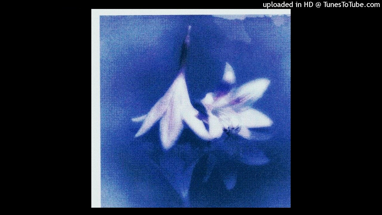 [free for profit] ambient + experimental type beat 