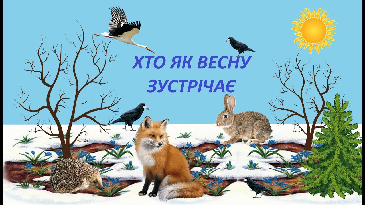 Хто як весну зустрічає