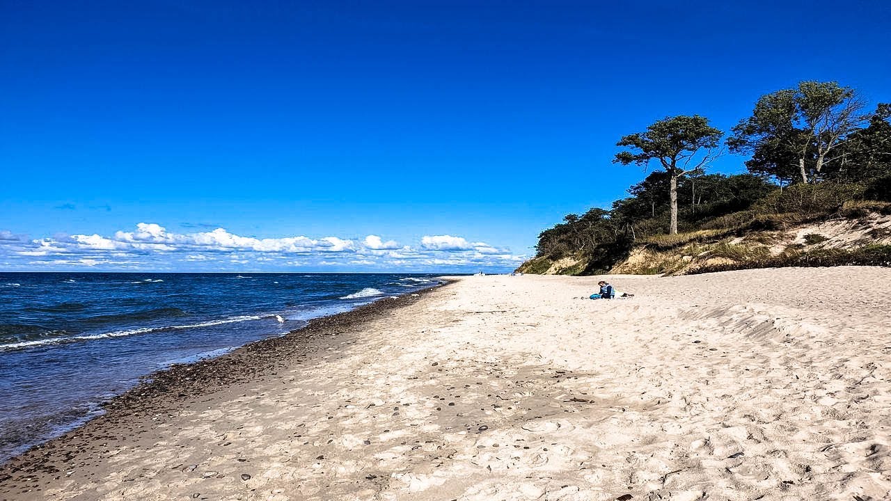 Pleśna - Ostatnia Dzika Plaża