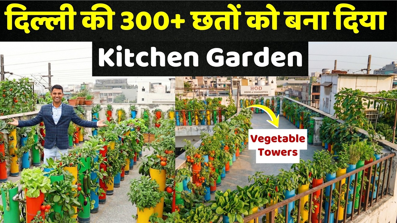 300+ छतें, एक मिशन 😍 दिल्ली बन रही Kitchen Garden की राजधानी, Terrace Gardening