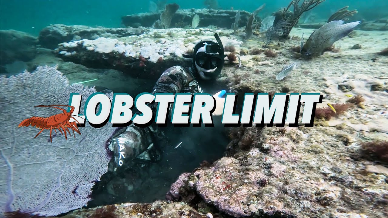 LIMITING out on LOBSTER w/ THE WAY Sportfishing || M50