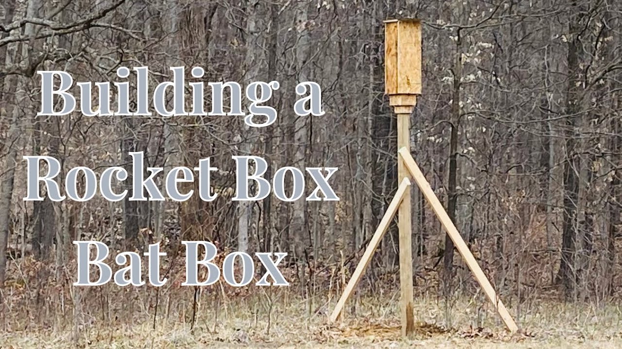 Building a Rocket Box (for bats) | Birdie & The Bees Farm