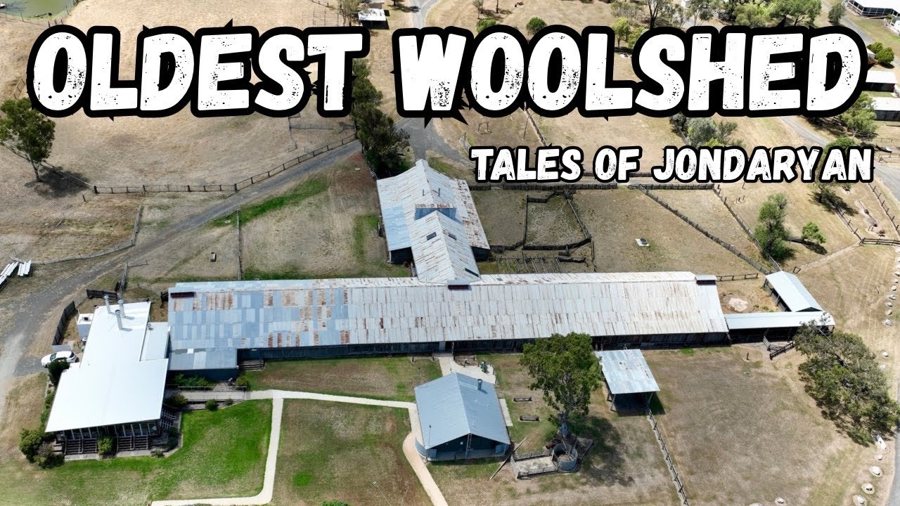 Woolshed walls talk! Jondaryan  Queensland
