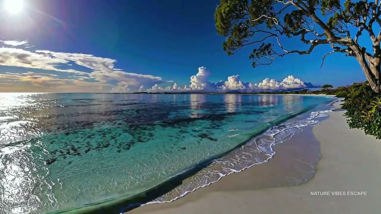 CALM 🍃 Eagle Beach Aruba Inspired Ocean Sound | Focus Study Sleep | 4K 🌊