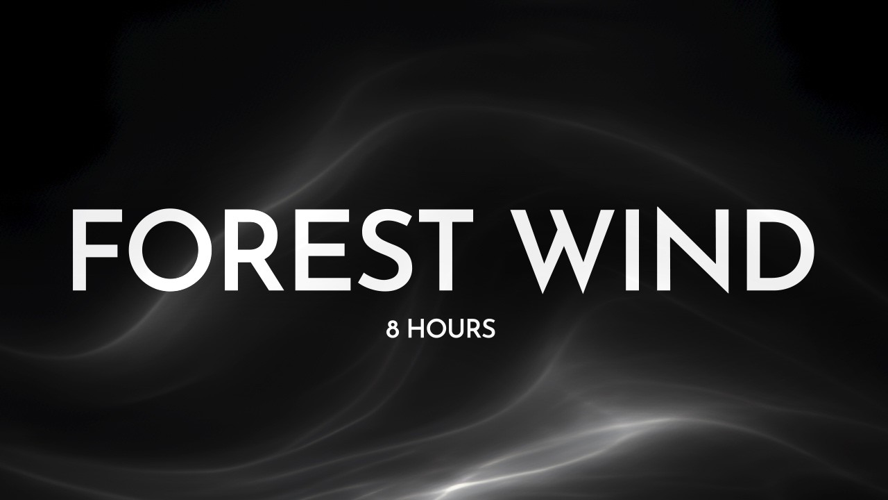 Forest Night Wind Deep Sleep – Wind in the Woods (8 Hours)