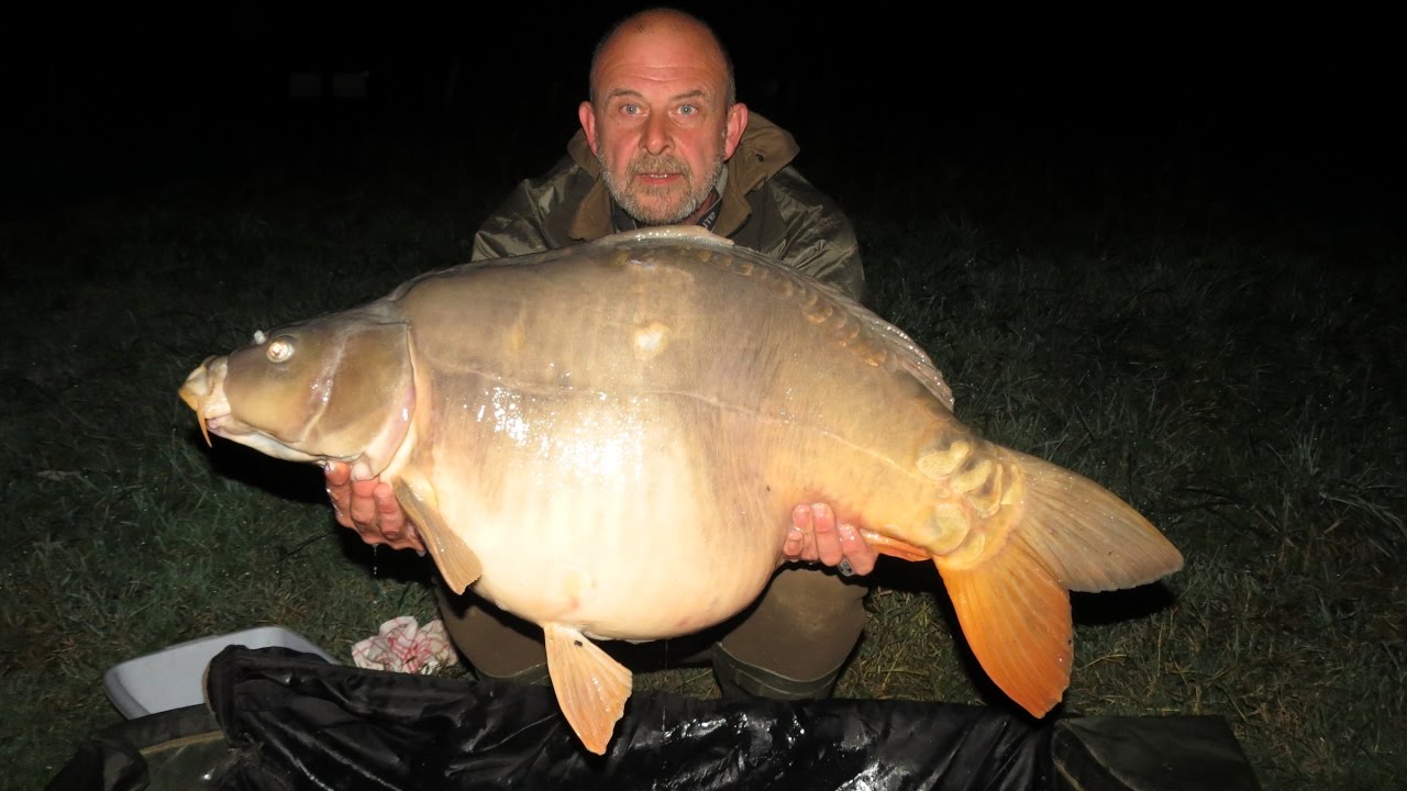 Carp fishing France - Iktus carp lake November  2016..