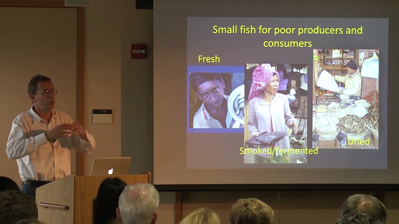 David Little, Aquaculture, Food Security and the Marine Environment