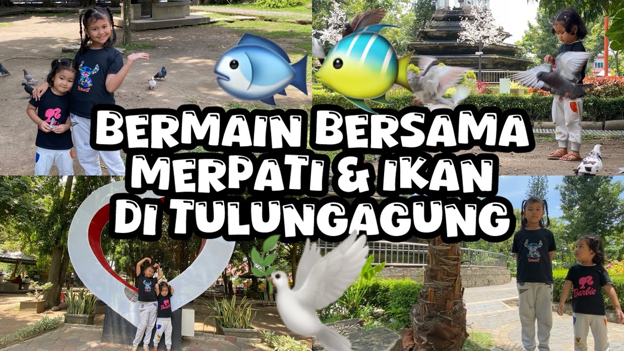 BERMAIN BERSAMA IKAN & BURUNG DI ALUN ALUN TULUNG AGUNG