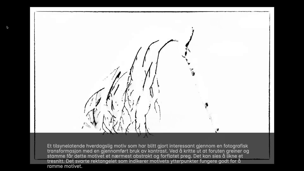 Espen Gleditsch. Tema: Intet