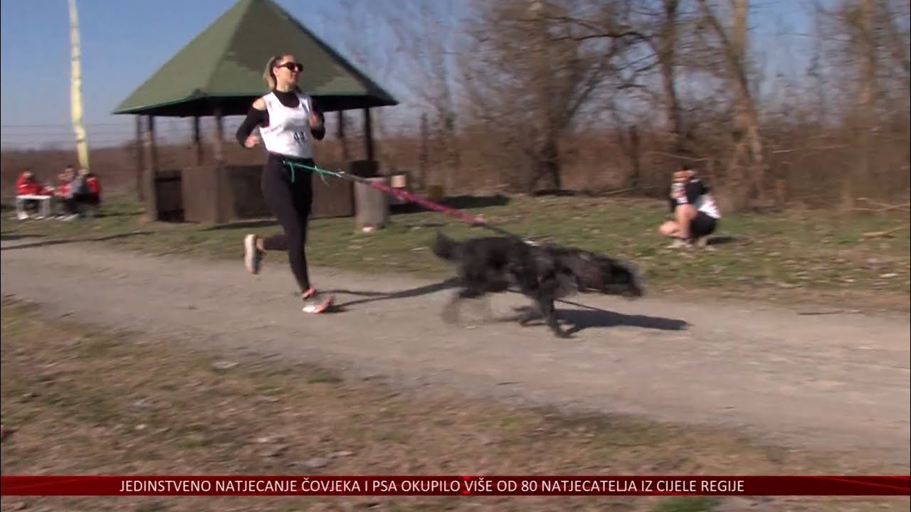 Prvi Drava Forest Dog Run na Biljskom jezeru – jedinstveno natjecanje čovjeka i psa