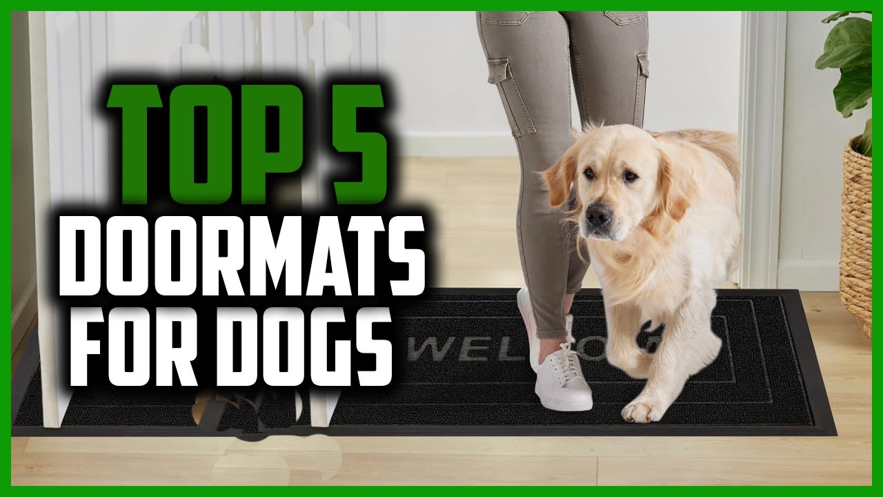 ✅Top 5 Best Doormats for Dogs Reviews 2024