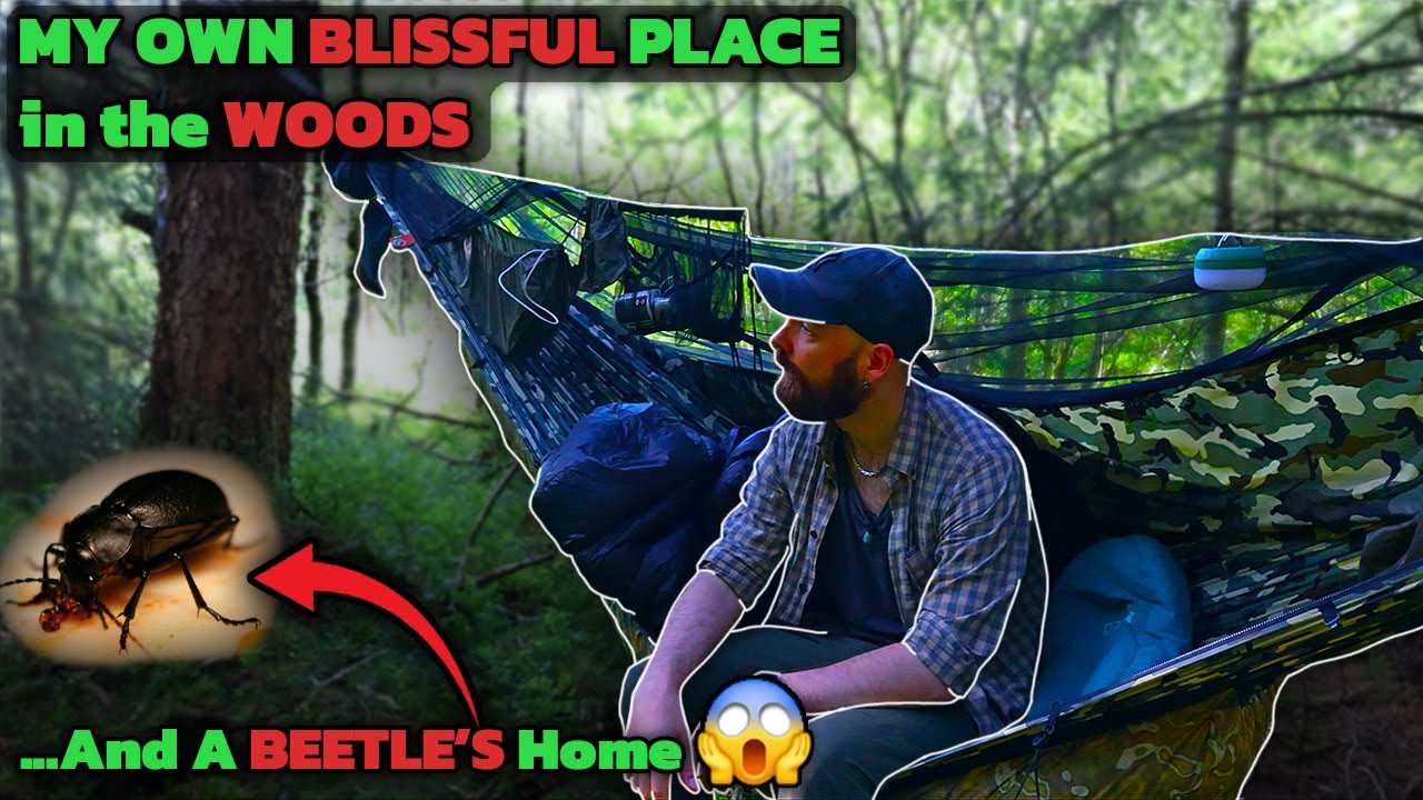 I Found A SECRET Place To Hammock Camp! (Dutchware Gear Chameleon)