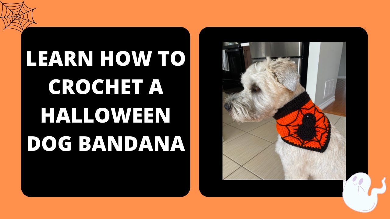 Halloween Dog Bandana