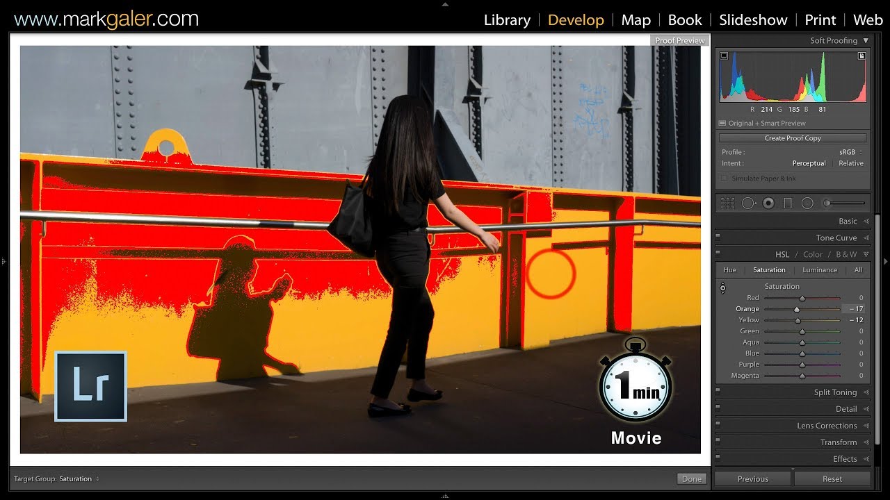 Lightroom Classic - Soft Proofing in the Develop Module: One-Minute Movie