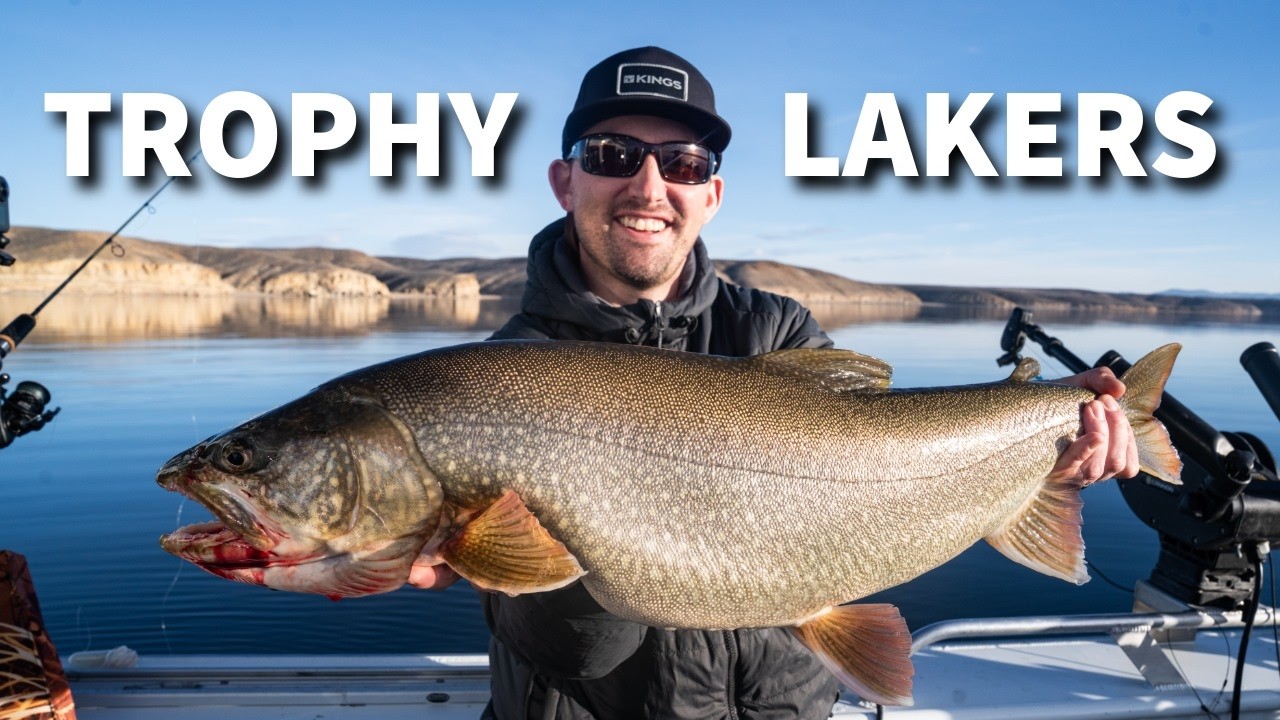 HUGE Lake Trout Smash the Rod! Trophy Lakers at Flaming Gorge