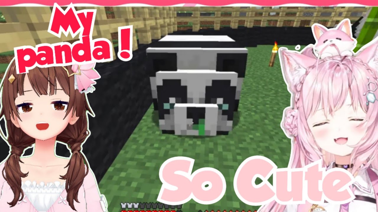 Koyori encounters Sora-chan's pien Panda