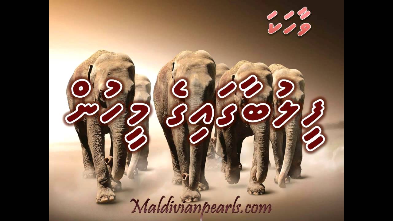 Feelu baagaige meehun