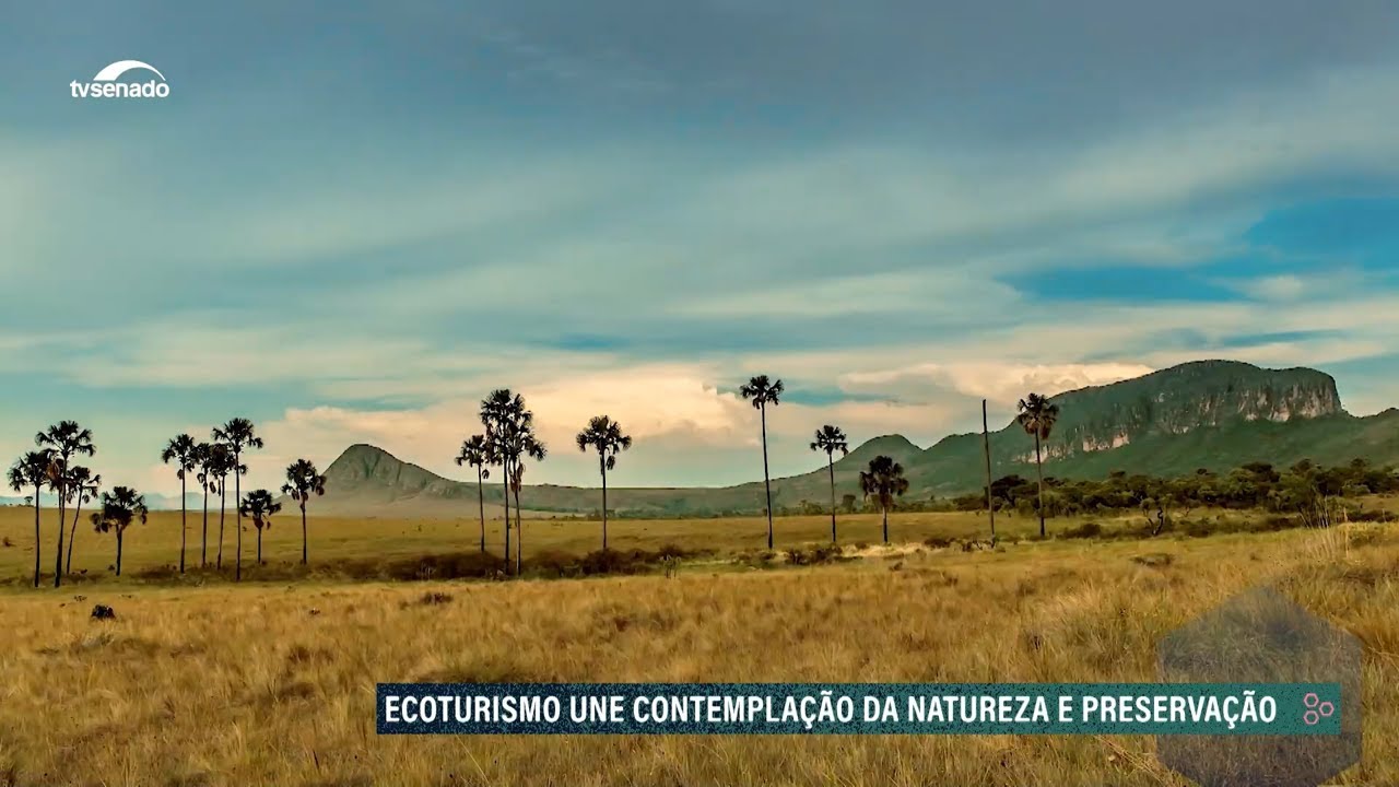 #Audiodescrição | EcoSenado mostra os impasses a respeito da Ferrogrão