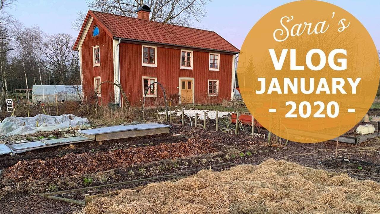 Fertilizing, renovating and sowing - My January vlog 2020