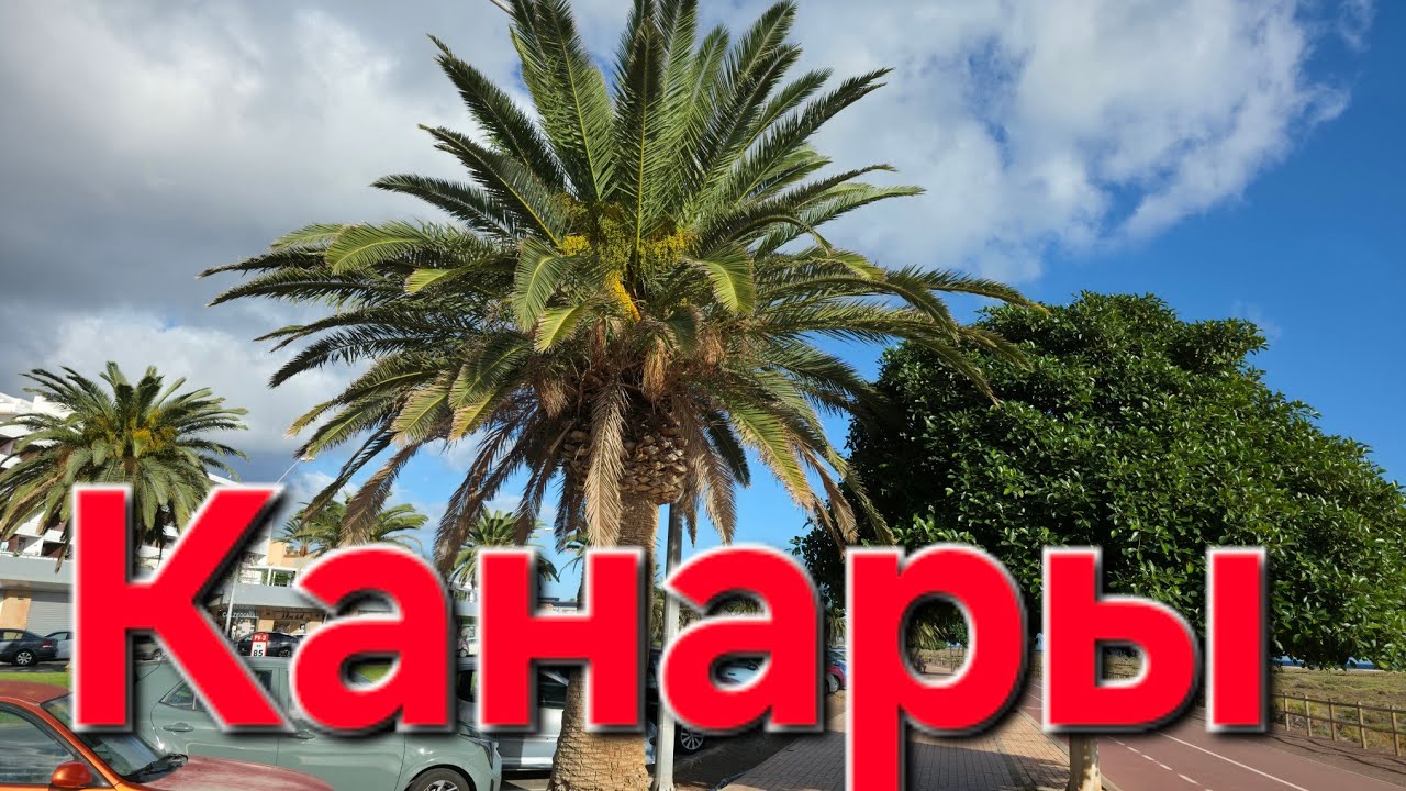 Канары. Фуэртевентура. Отель и пляжи 