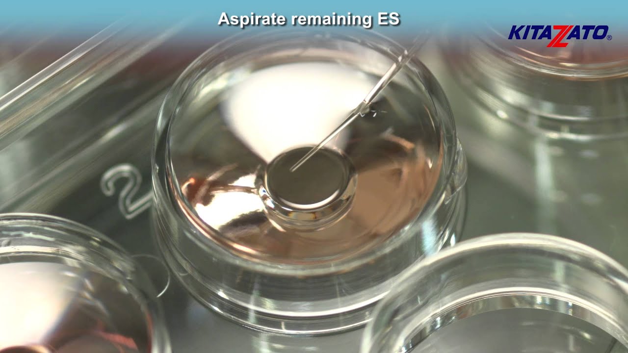 Kitazato Cryotop&reg;SC Oocyte Vitrification+Thawing - Closed System