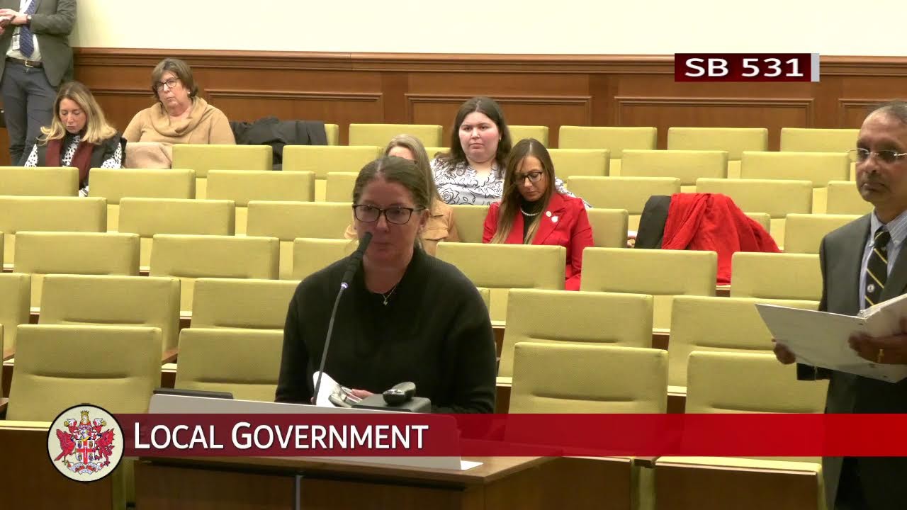 Senate of Virginia: Local Government on 2026-02-09 [Finished]