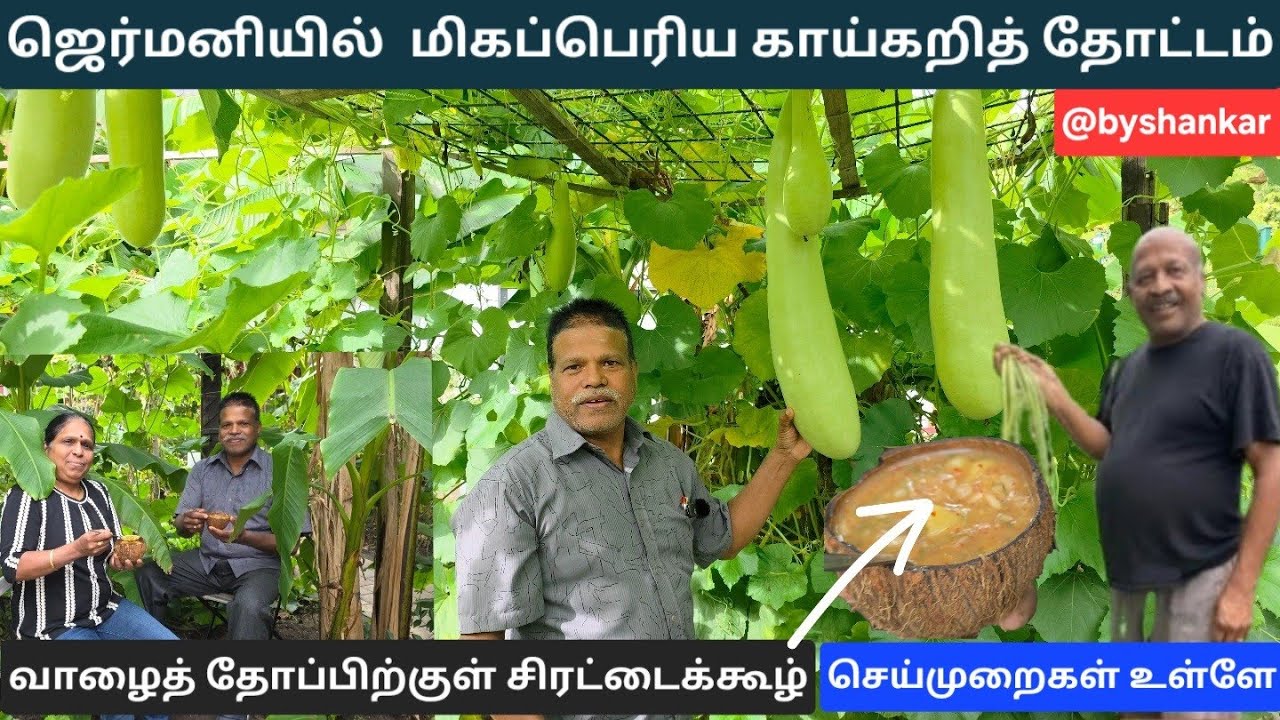 ஜெர்மனியில் மிகப்பெரிய தமிழ்க் காய்கறித் தோட்டம் | எப்படி நீங்கள் தோட்டம் செய்யலாம்! | inspiration 