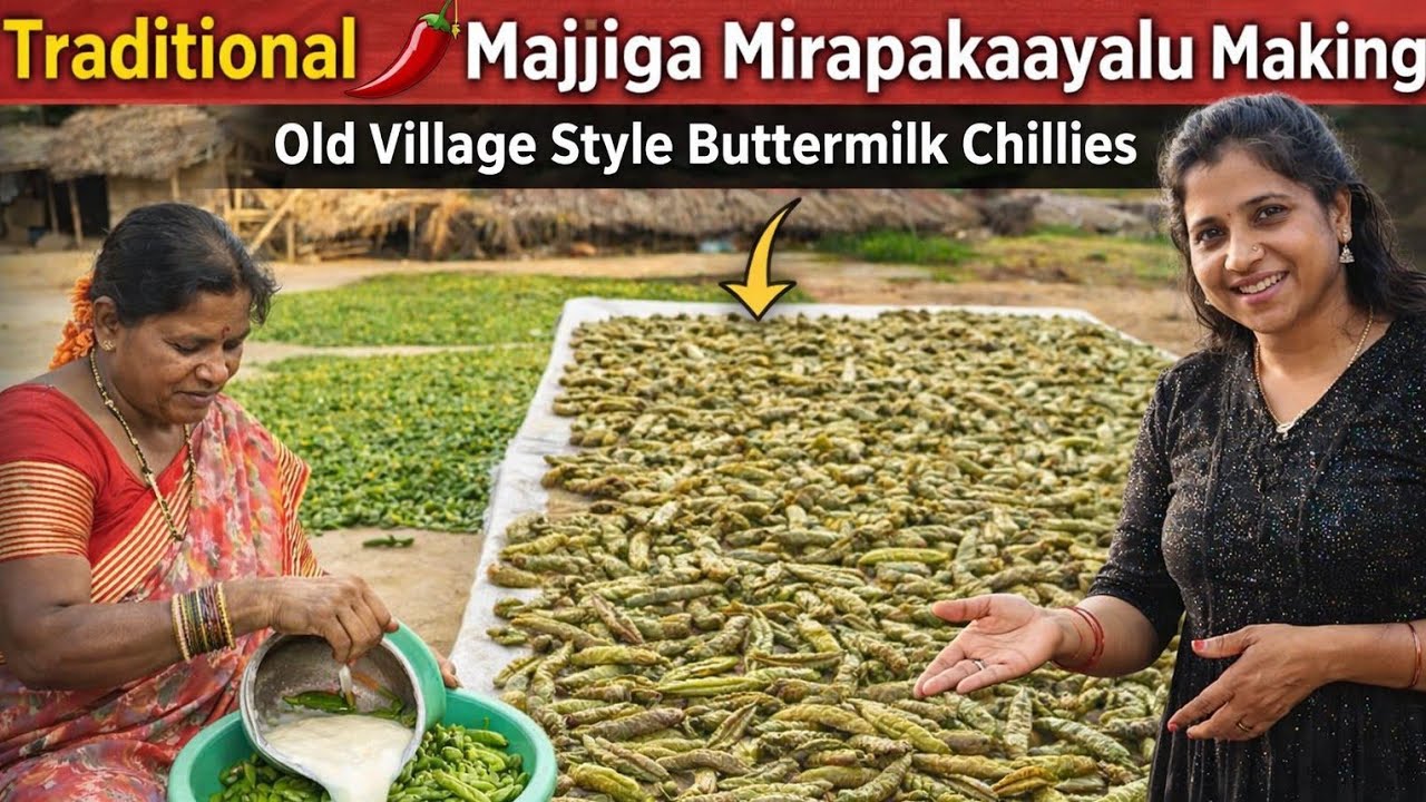 “Grandma’s Traditional Majjiga Mirapakaayalu 🌶️ | Old Village Style Buttermilk Chillies Recipe”