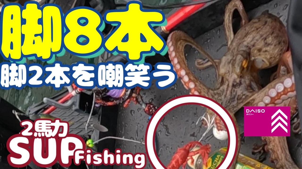 【2馬力SUPﾌｨｯｼﾝｸﾞ】初めてタコを釣り上げた日、そして初めてタコに○○された日、そして師匠はタコ13匹釣っていたという…【日立第五埠頭】
