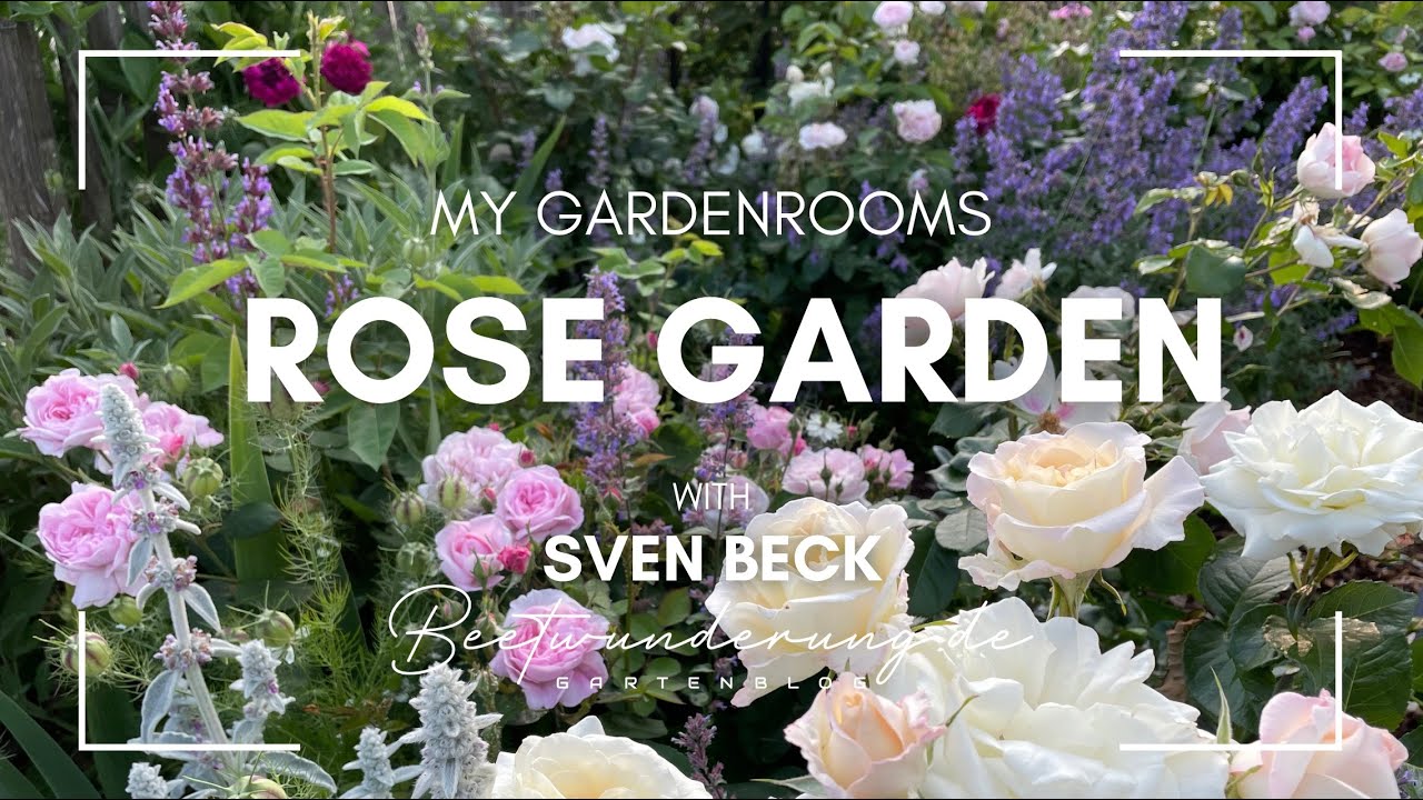 Garden / Garten: My garden rooms: rose garden / Meine Gartenräume: Rosengarten / beetwunderung.de