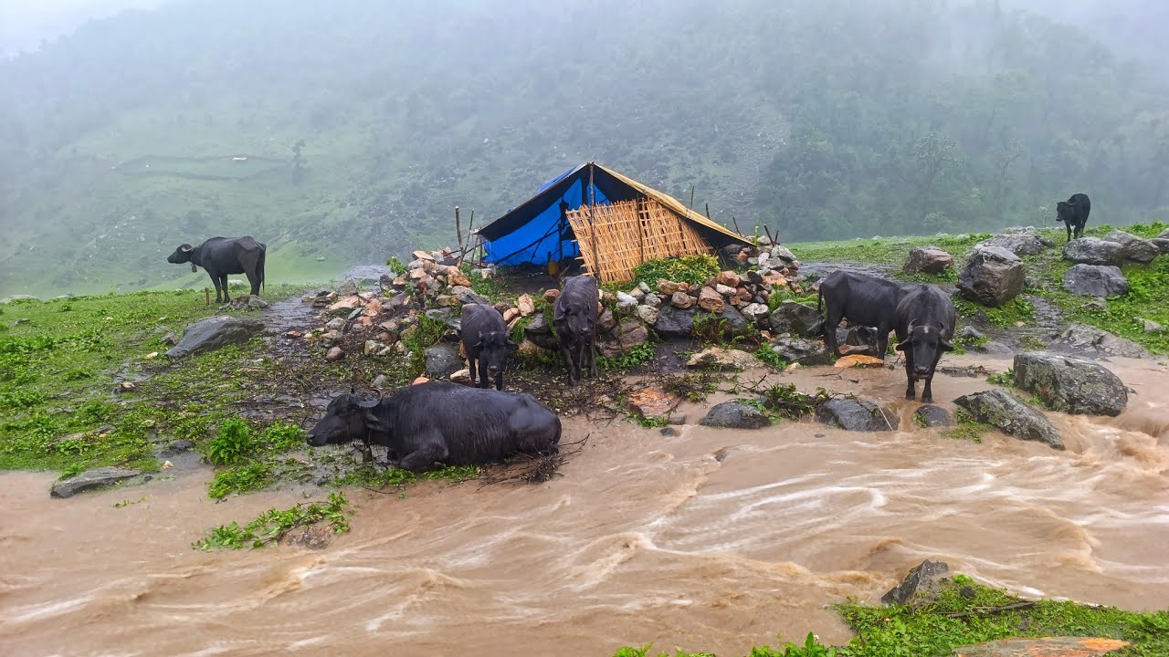Most Peaceful And Relaxation Mountain Village Lifestyle | Nepali Village Documentary Video |